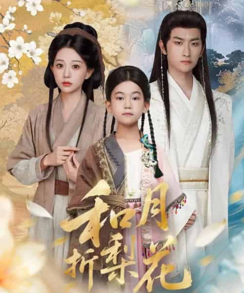 和月折梨花（80集全）毛祁生＆吴伊纯-紫橙资源网