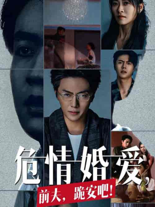 危情婚爱前夫跪安吧(80集全)张磊&诸玲颖-紫橙资源网
