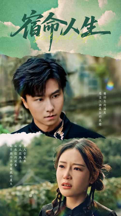 宿命人生（60集）王振＆刘思蝶衣-紫橙资源网