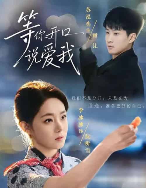 等你开口说爱我（60集全）苏泓奕＆李冰冰-紫橙资源网