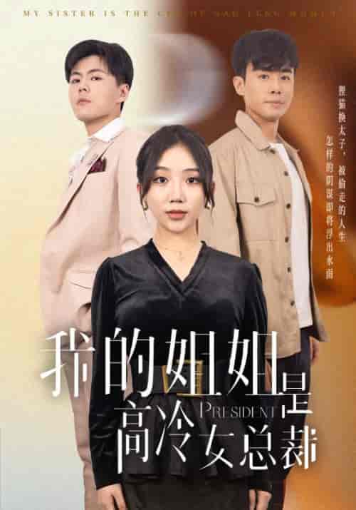 我的姐姐是高冷女总裁（42集全）徐劲＆杨紫玲-紫橙资源网