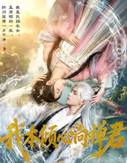 我本倾心向禅君（65集全）AI-紫橙资源网