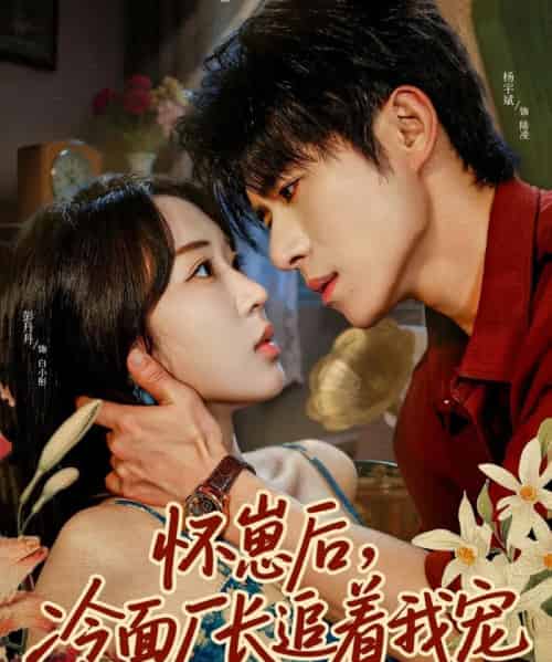 怀崽后，冷面厂长追着我宠（80集全）杨宇斌＆彭丹丹-紫橙资源网