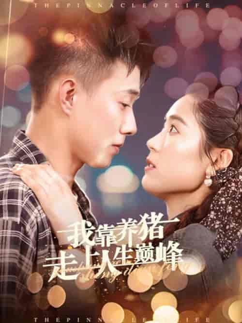 我靠养猪走上人生巅峰(60集全)黄文博&翟一莹-紫橙资源网