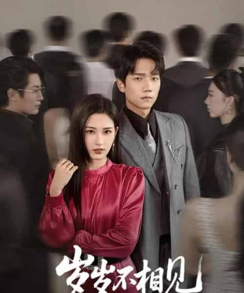 岁岁不相见(60集)梅瑞滢-紫橙资源网