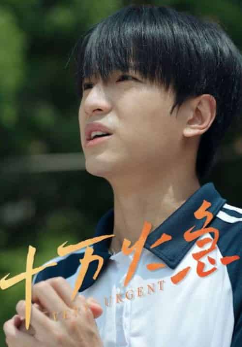 十万火急（30集） - 紫橙短剧