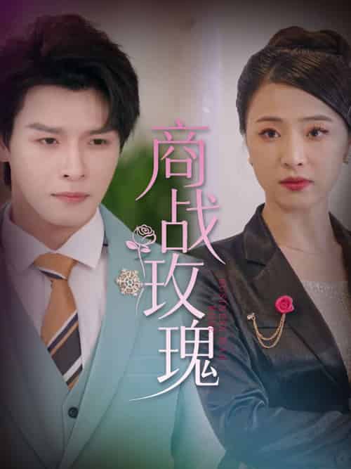 商战玫瑰（30集）王思齐＆李彬航-紫橙资源网