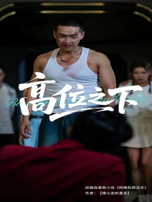 高位之下（65集）张家嘉＆赵龙-紫橙资源网