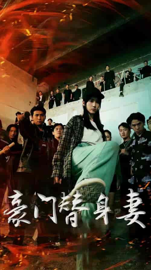 豪门替身妻（99集）-紫橙资源网