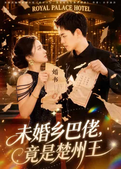未婚乡巴佬,竟是楚州王(80集全)龙泽&尚宥琪-紫橙资源网