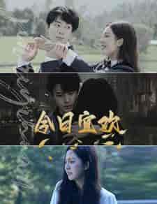 今日宜欢（100集）-紫橙资源网