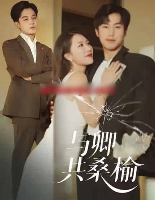 与卿共桑榆（63集全）贺龙天＆钟嘉玲-紫橙资源网