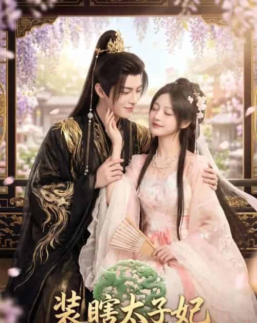 装瞎太子妃（60集全）AI-紫橙资源网