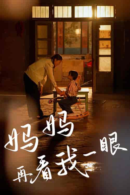 妈妈再看我一眼（32集）-紫橙资源网