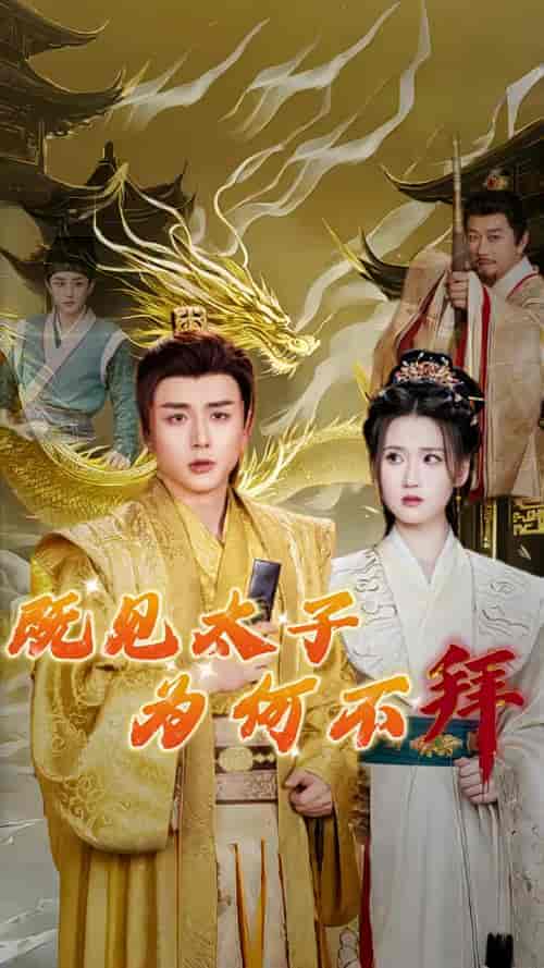 既见太子为何不拜（62集全）-紫橙资源网