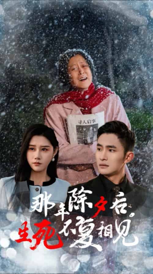 那年除夕后生死不复相见(48集)魏昕怡-紫橙资源网