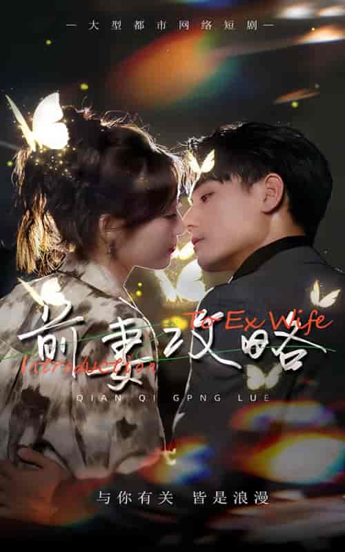 前妻攻略（106集）-紫橙资源网