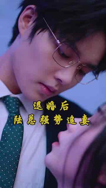 悔婚后，我变成陆总的心尖宠（80集）-紫橙资源网