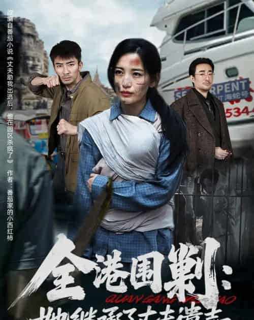 全港围剿：她继承了丈夫遗志（84集全）李雪莹＆张瀚文-紫橙资源网