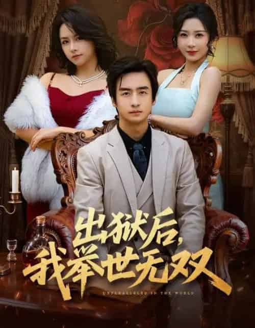 出狱后,我举世无双(69集全)王家霖&祎一-紫橙资源网