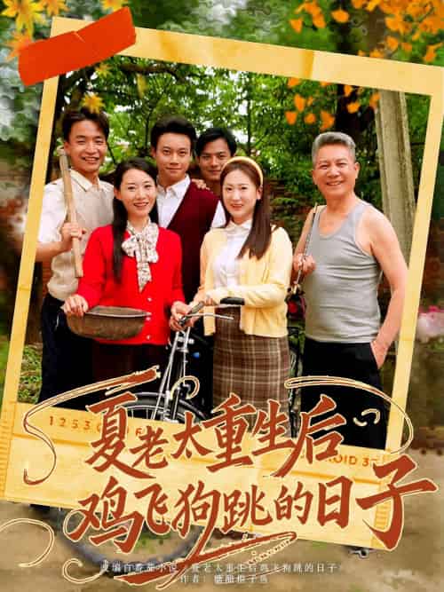 夏老太重生后鸡飞狗跳的日子（70集）-紫橙资源网