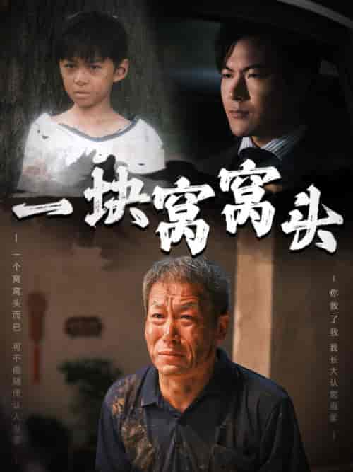 一块窝窝头＆儿子患癌以后（60集全）-紫橙资源网