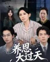 养恩大过天（54集全）蒋钊＆廖琳迪-紫橙资源网