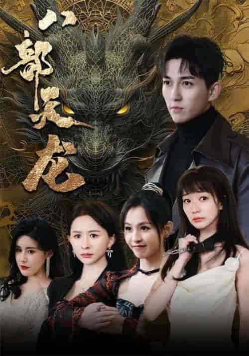 八部天龙（88集）陈诗敏-紫橙资源网