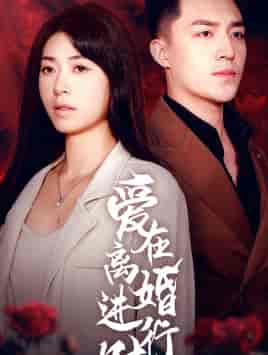 爱在离婚进行时 爱在离婚进行时