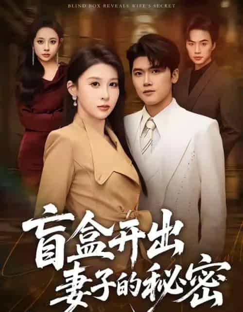 盲盒开出妻子的秘密(40集全)林嘉翊&张灵钰-紫橙资源网