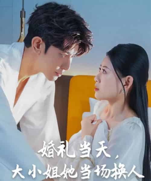 婚礼当天，大小姐她当场换人（30集）陈诺＆永琪-紫橙资源网