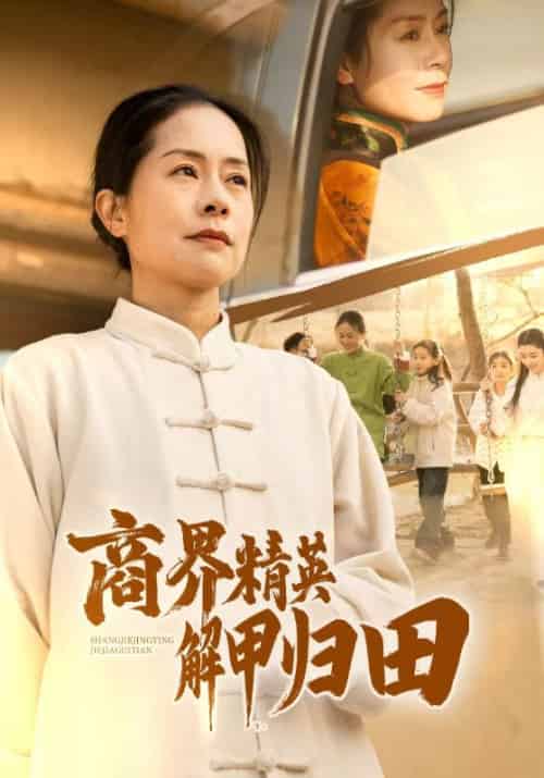 商界精英解甲归田（31集）-紫橙资源网