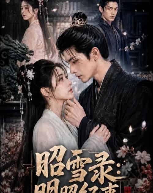 昭雪录：明昭纪事（20集全）AI-紫橙资源网