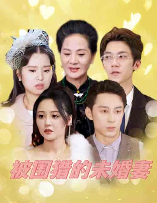 被围猎的未婚妻（83集全）-紫橙资源网