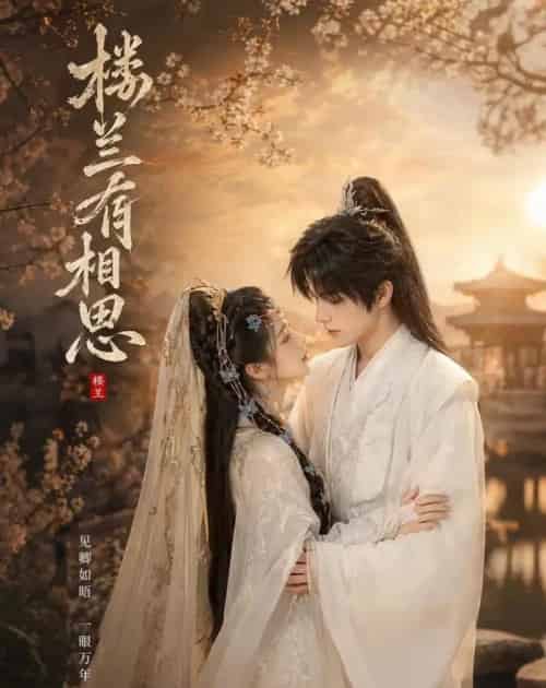 楼兰有相思（50集全）AI-紫橙资源网