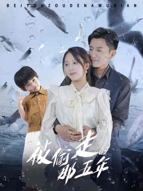 被偷走的那五年(70集)-紫橙资源网