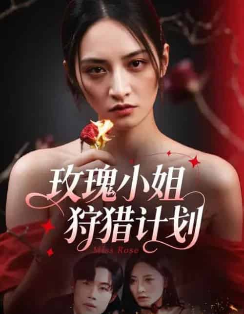 玫瑰小姐狩猎计划 （60集全）敖日格乐＆李虹艺-紫橙资源网