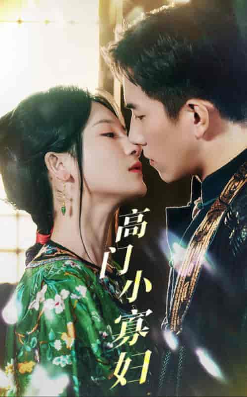 高门小寡妇（60集全）-紫橙资源网