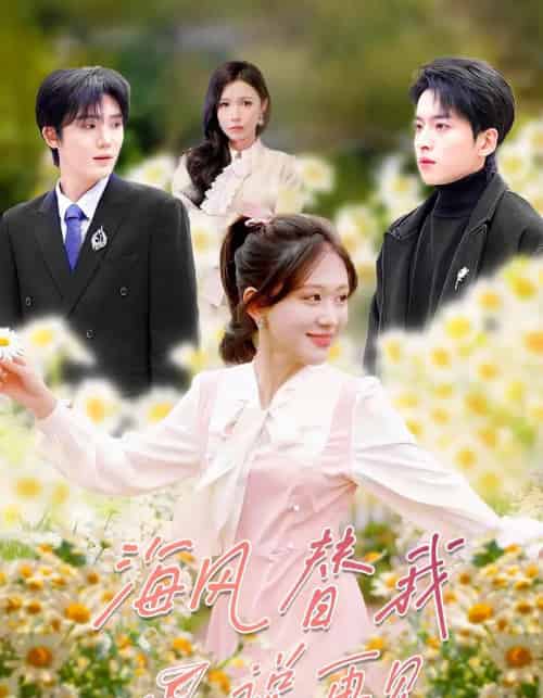 海风替我说再见（80集全）张昊旸＆柴慧欣-紫橙资源网