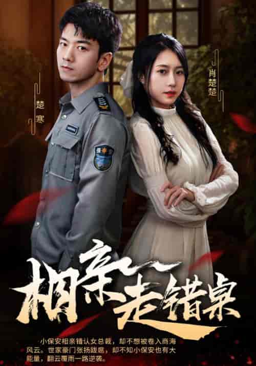 相亲走错桌（88集全）楚寒＆肖楚楚-紫橙资源网