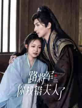 路将军,你找错夫人了(81集)-紫橙资源网