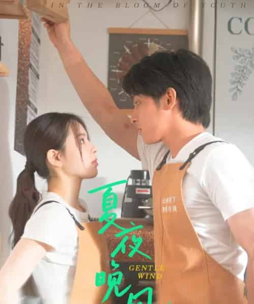 夏夜晚风（12集）何衍朝＆蔡子伊-紫橙资源网