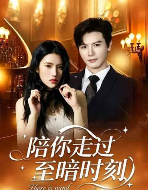 陪你走过至暗时刻（80集全）李彬航＆张沐桐-紫橙资源网