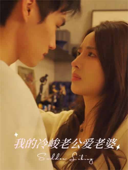 我的冷峻老公是宠妻狂魔（78集全）顾景恒＆叶孟瑶-紫橙资源网