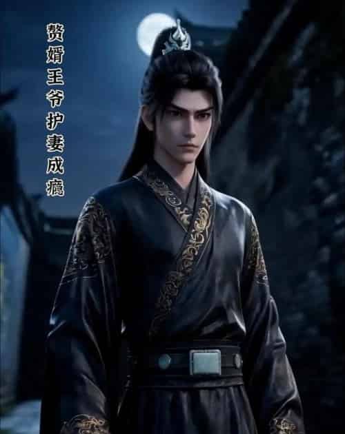 赘婿王爷护妻成瘾（30集全）动漫-紫橙资源网