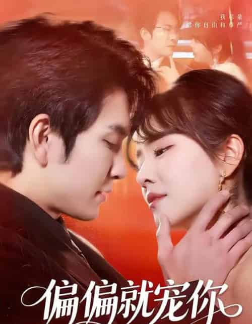 偏偏就宠你（82集全）王已歌＆李雪丹-紫橙资源网