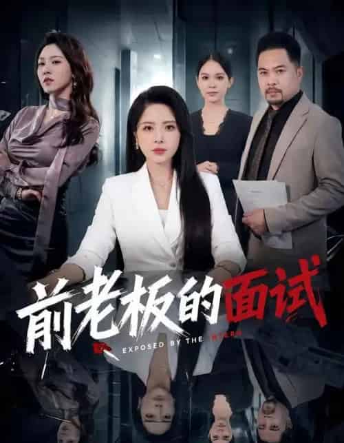 前老板的面试(45集全)杨雪&许修萍&董佳乐-紫橙资源网