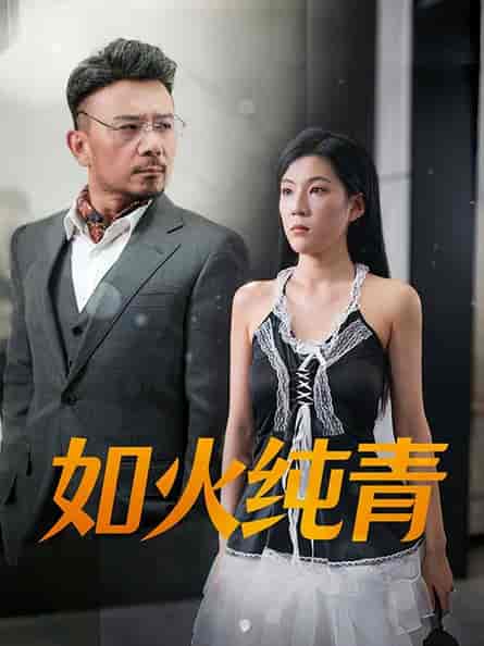 如火纯青（45集全）-紫橙资源网