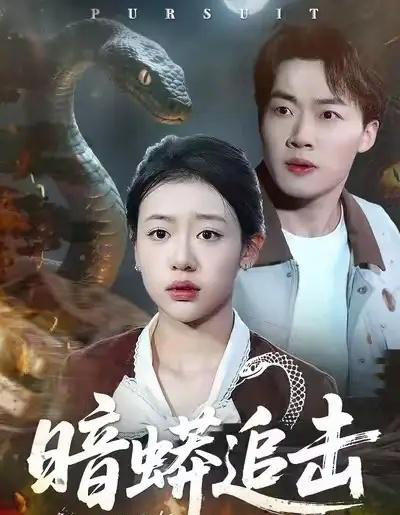 暗蟒追击（35集全）王盈心＆赵文硕-紫橙资源网