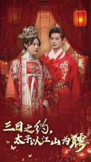 三日之约太子以江山为聘（30集全）徐涵琳 - 紫橙短剧